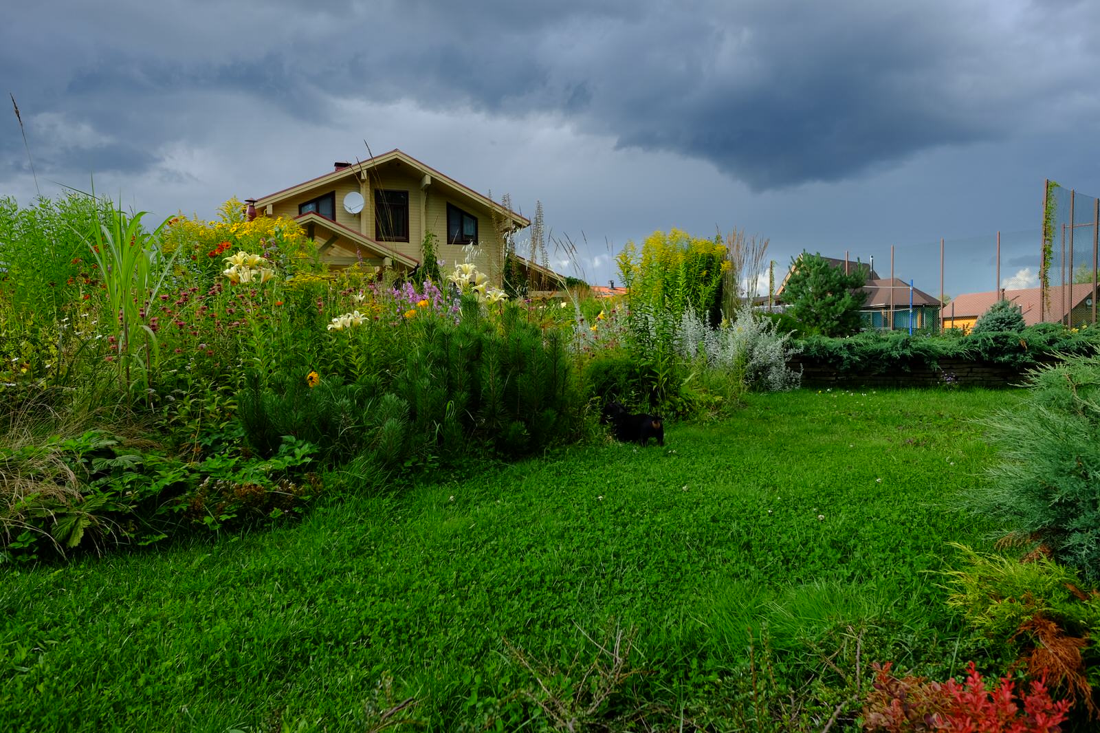 Зеркальный Ландшафтное проектирование