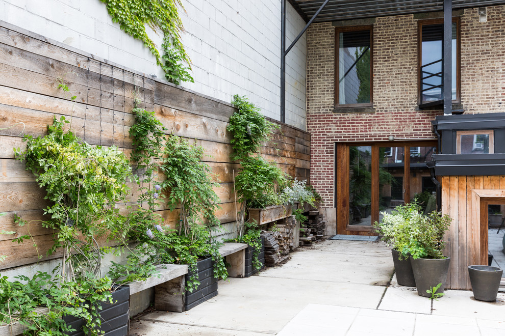 This is an example of an industrial garden in New York with a container garden.