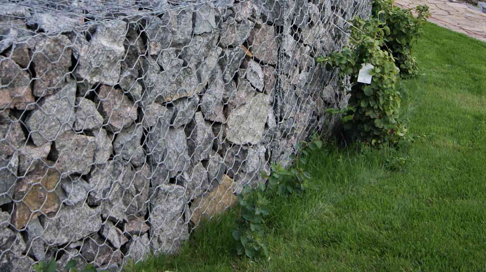 ИЗ ВАРЯГ В ГРЕКИ