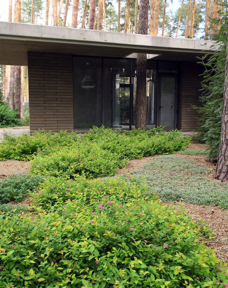 Лесные дорожки, явные и неявные