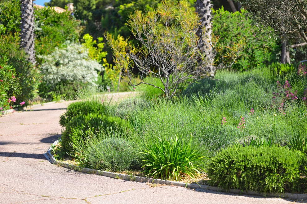 La Ciotat (Bouches du Rhône) - Jardin méditerranéen en restanques