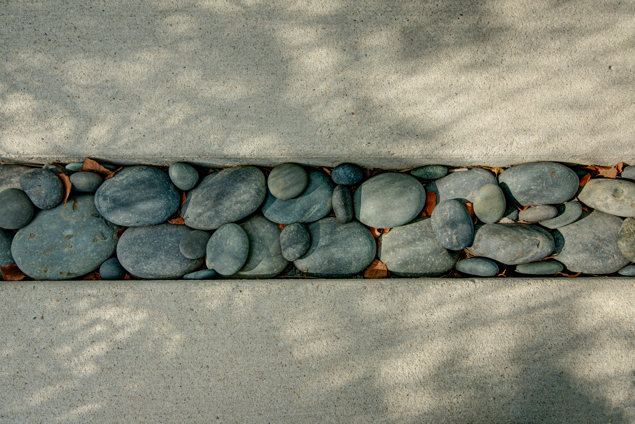 Modern Concrete Front Walk - Mequon