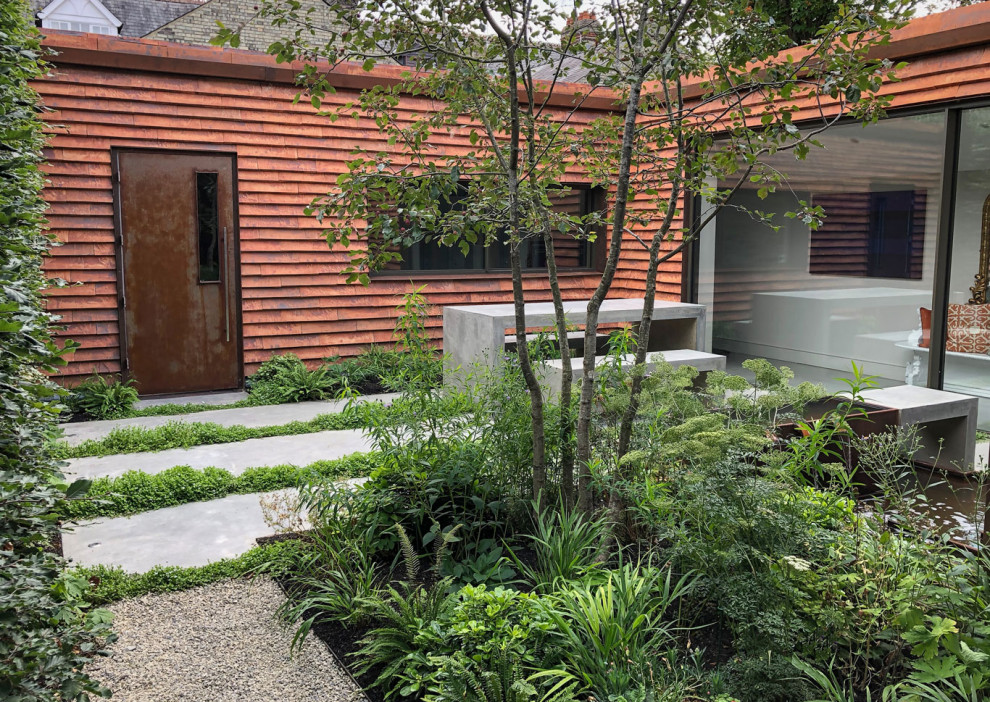 This is an example of a small modern garden in Other.