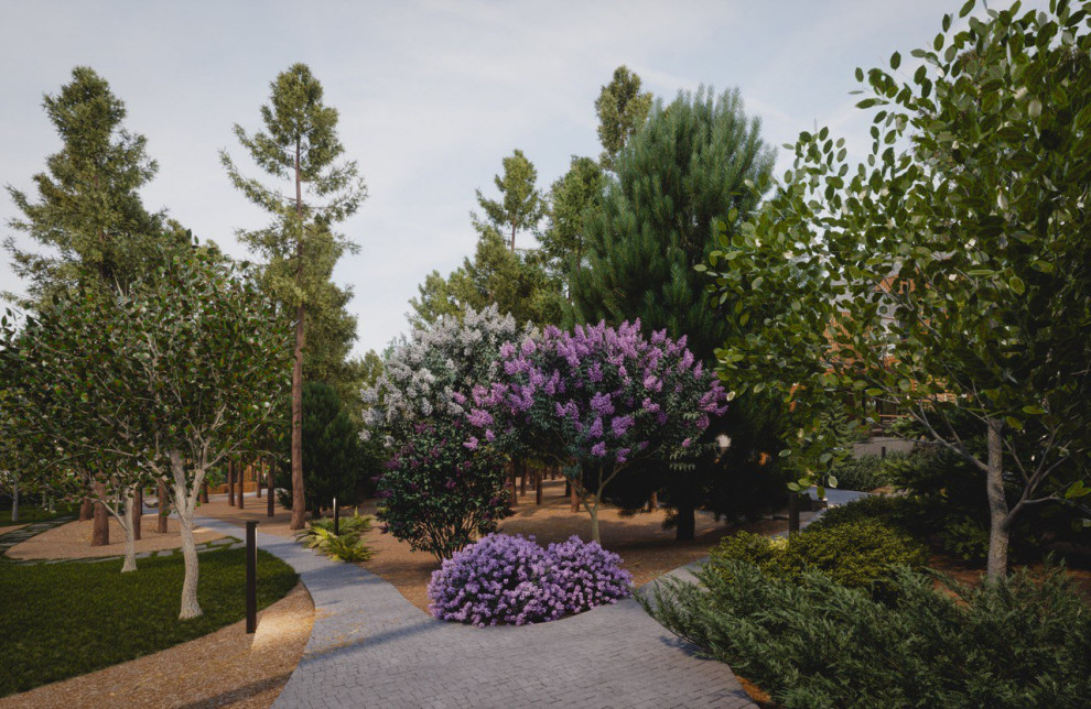 Завораживающий лес