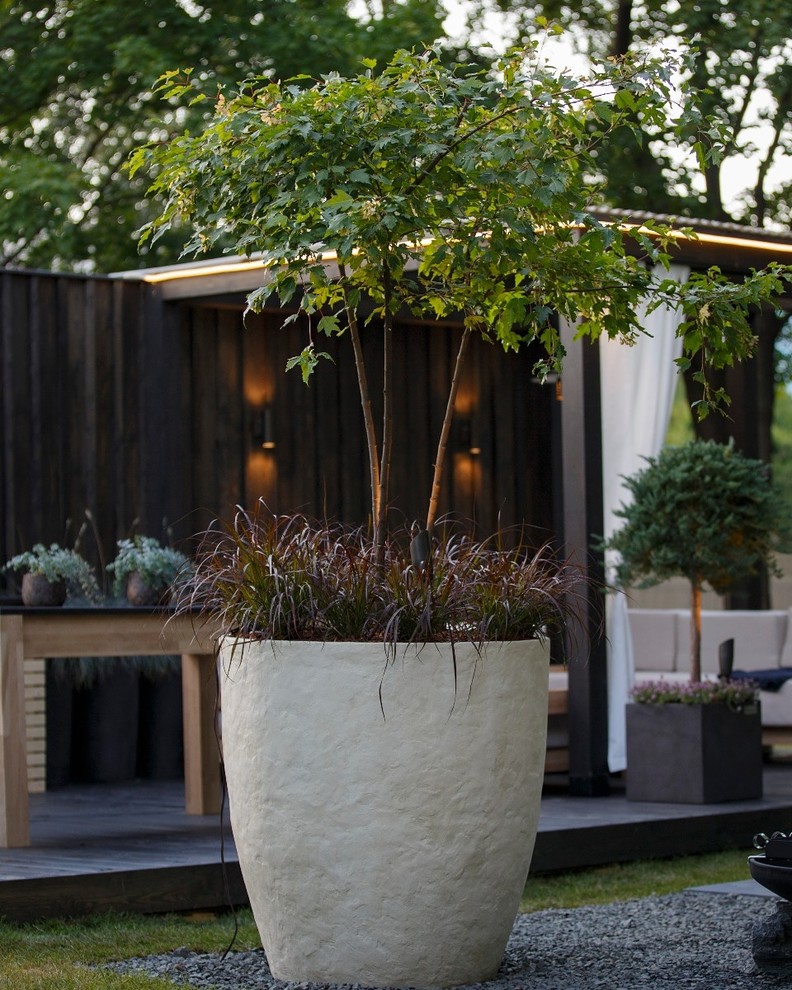 Фестиваль "Moscow Flower Show"