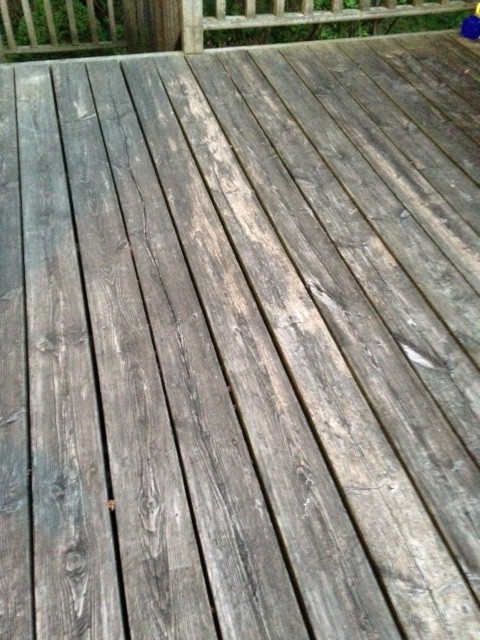 Cedar Deck Reviving