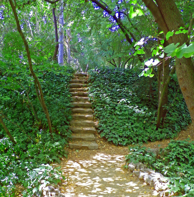 Construir sobre Espinas precoz Escaleras de jardín: 8 ideas sugerentes para salvar desniveles