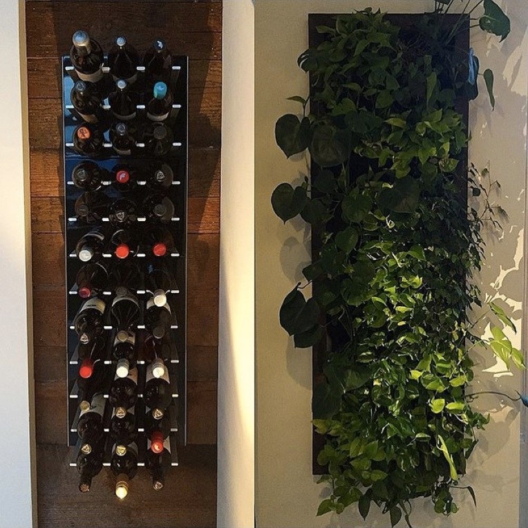 This is an example of a small modern wine cellar in San Francisco.