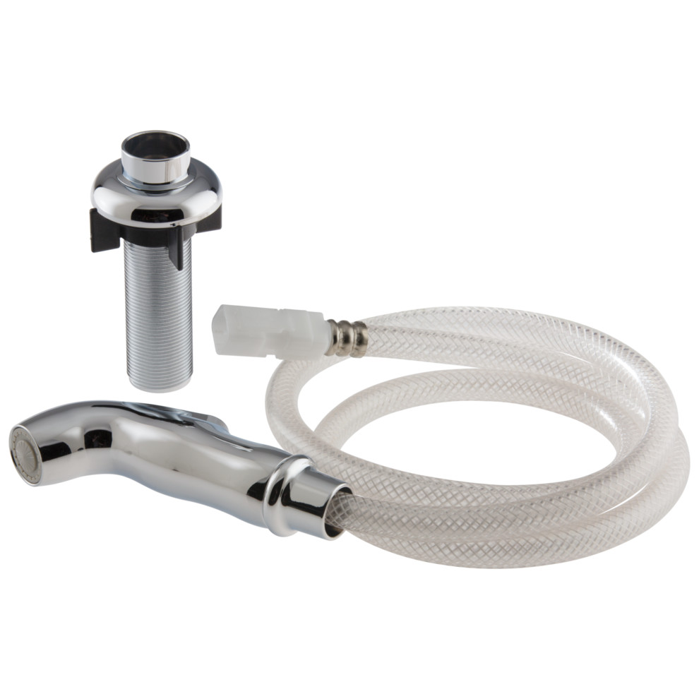 Delta Spray and Hose Assembly with Spray Support, Chrome, RP54807