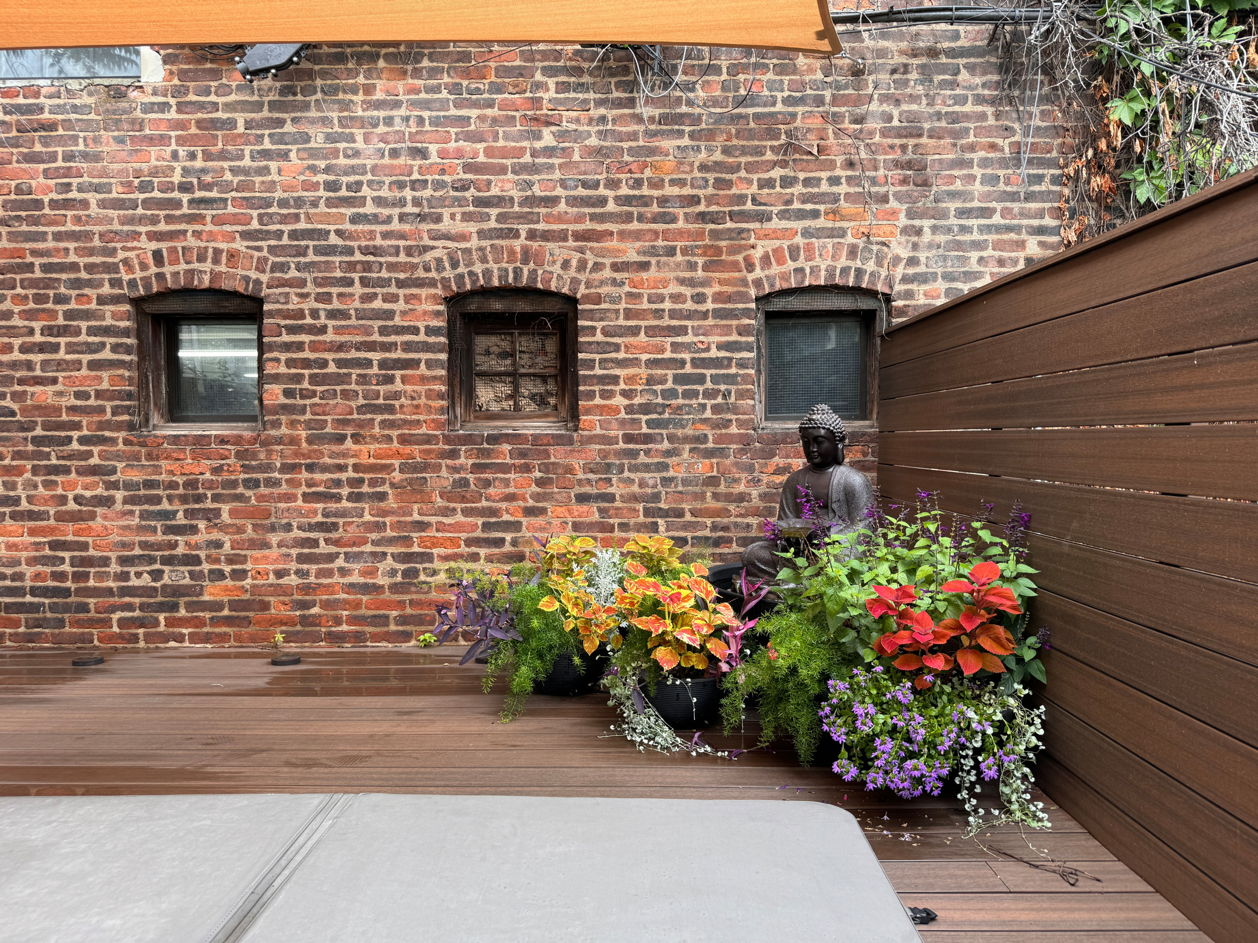 Greenpoint, Brooklyn backyard