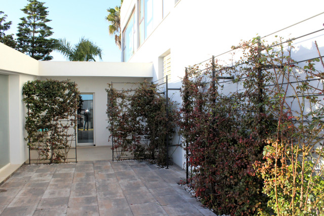 eleganza contemporanea courtyard