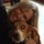 polly_hormel