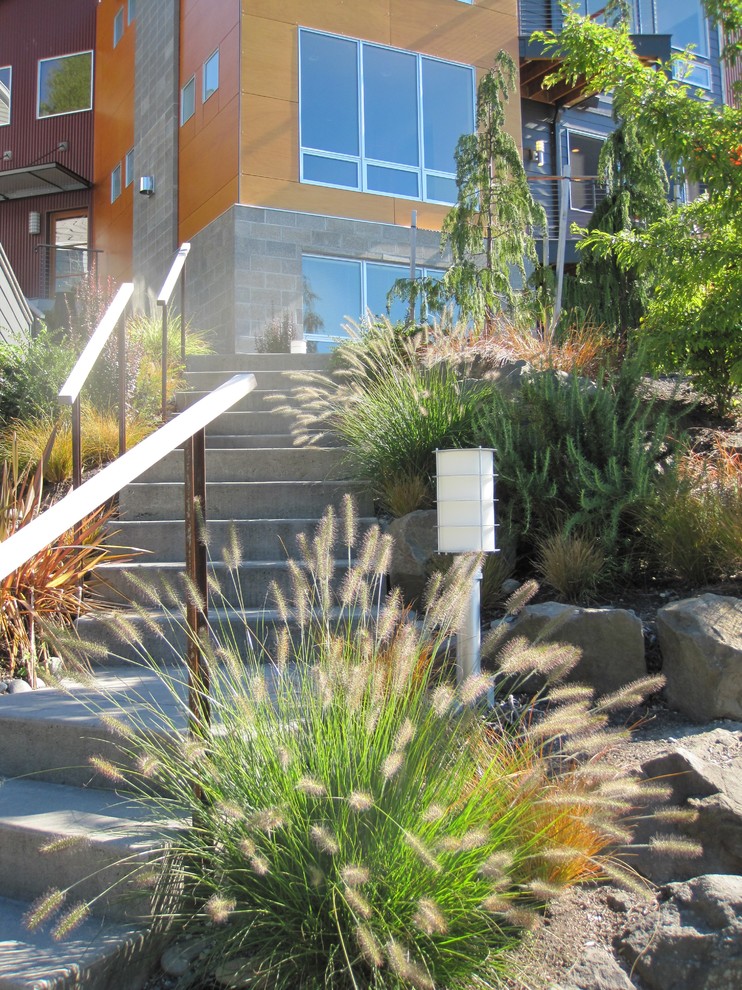 Design ideas for a contemporary garden in Seattle.