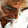 Last commented by leszek42