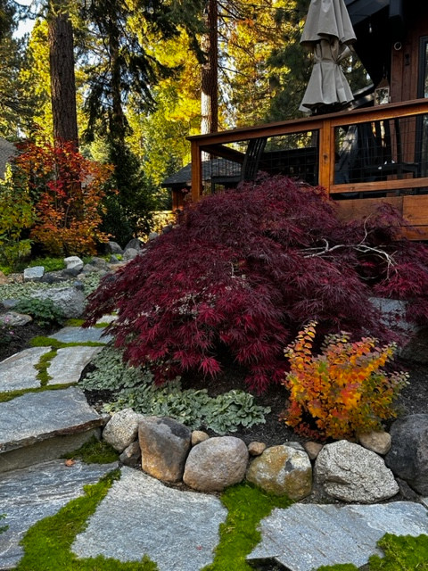 Tahoe Living