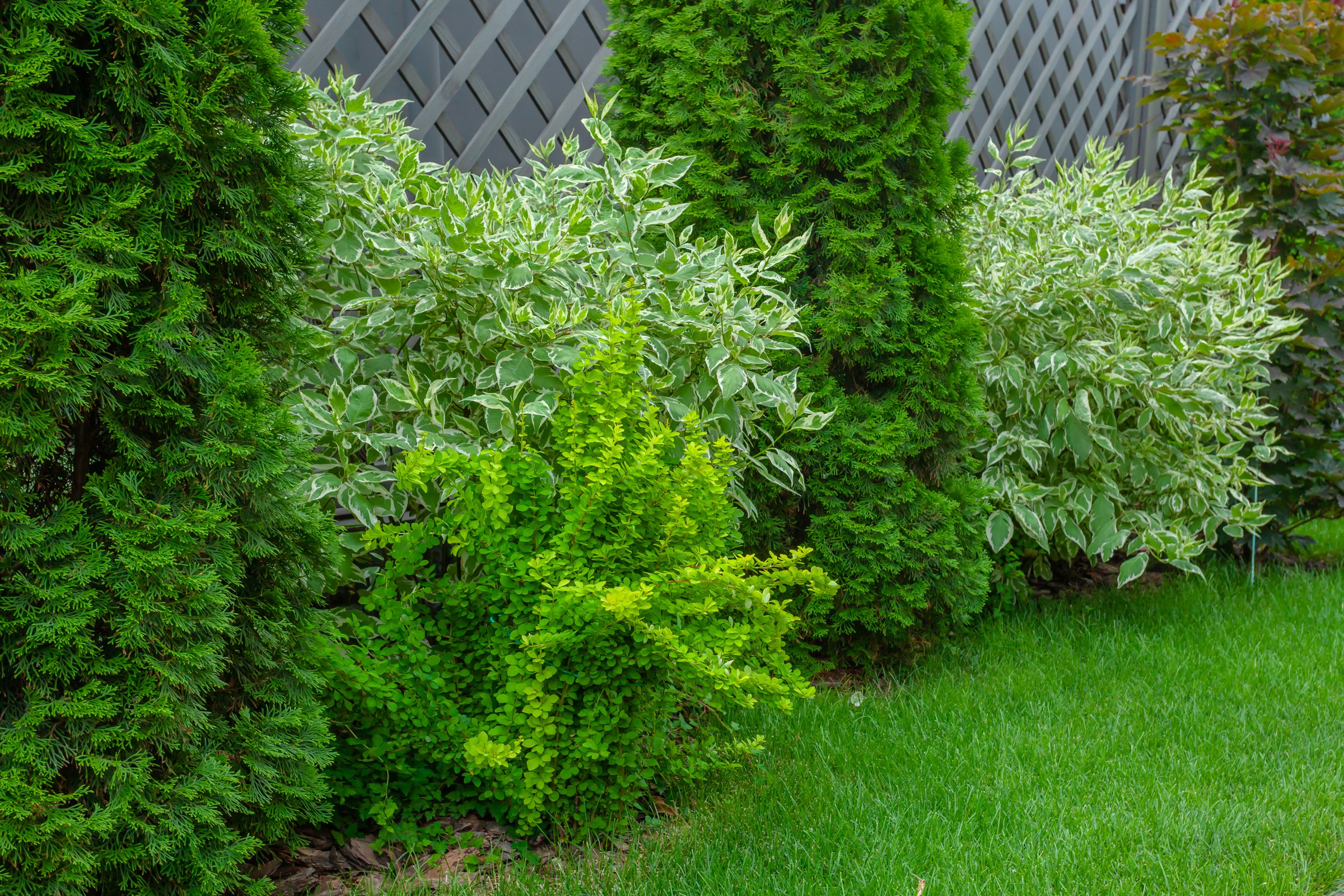 "В миниатюре"