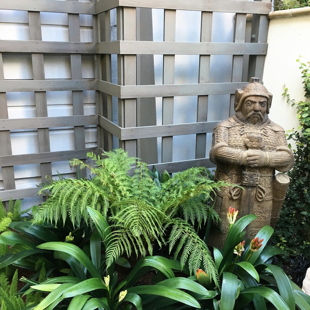 Design ideas for a small tropical courtyard shaded garden in San Francisco.