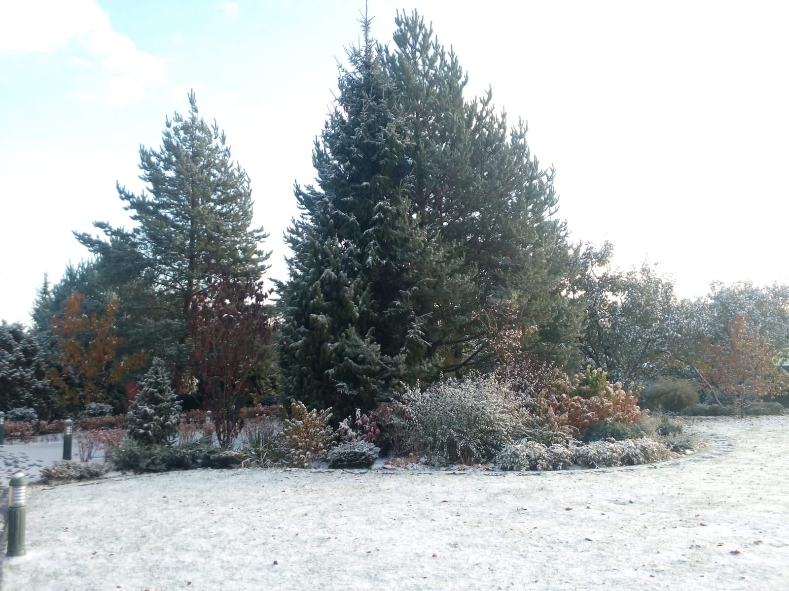 Сад и цветник в английском стиле