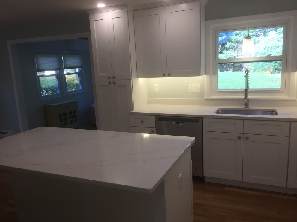 Home design - mid-sized transitional home design idea in Boston