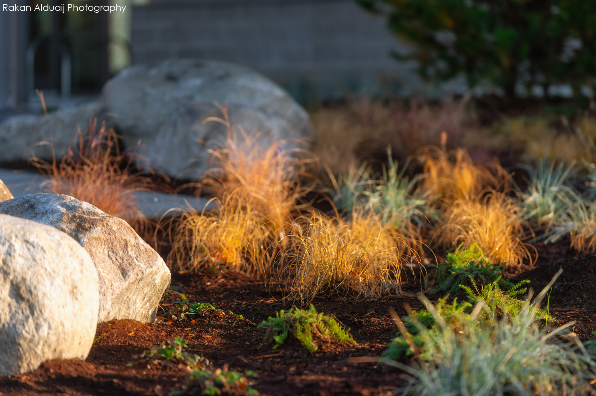 COMMERCIAL LANDSCAPE SERVICES