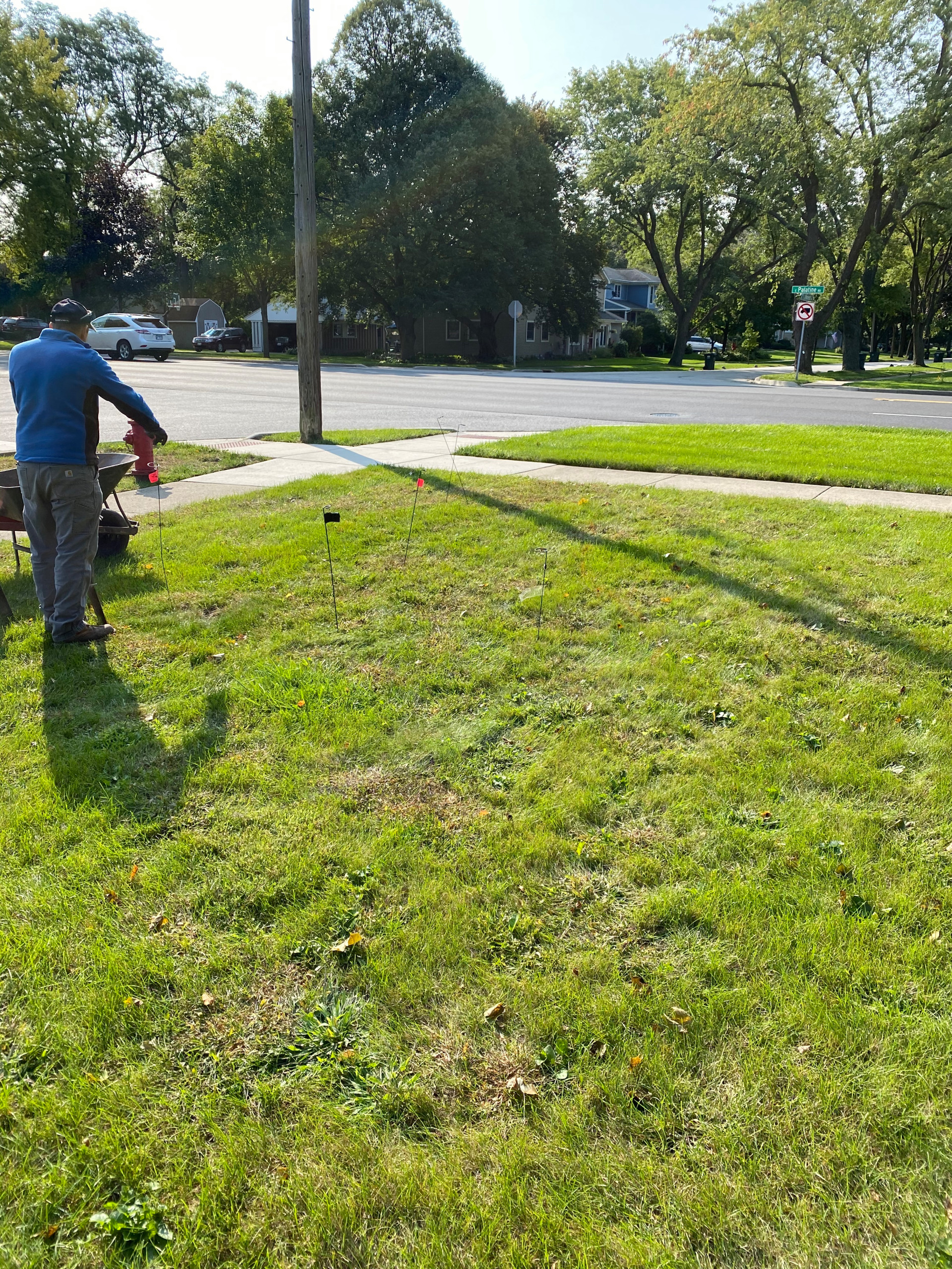 Before there was just grass!