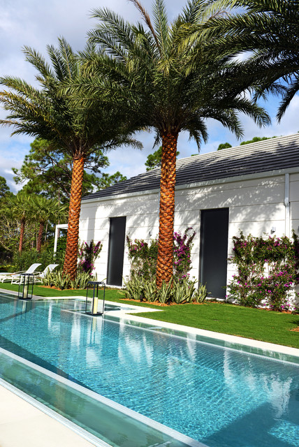 PRIMA trendy-pool