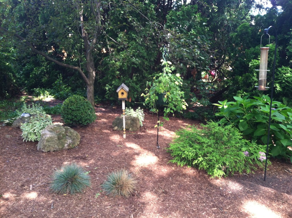 Fernwood Lane