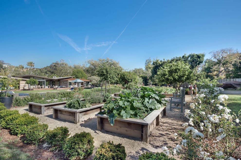 Design ideas for a large midcentury backyard garden in Los Angeles with a vegetable garden.