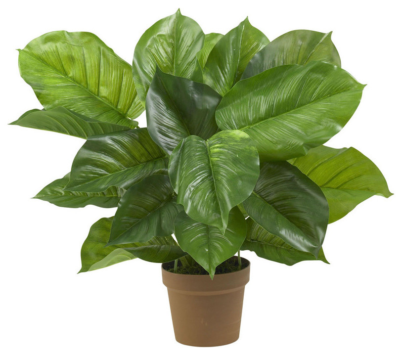 Large Leaf Philodendron Silk Plant, Real Touch