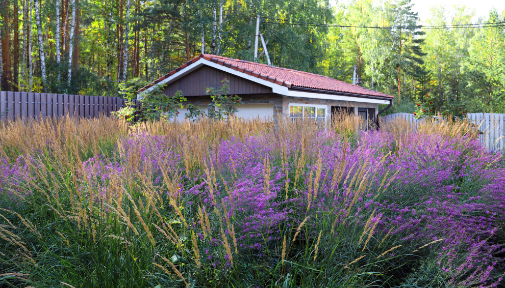 Сад у тёмных бревен