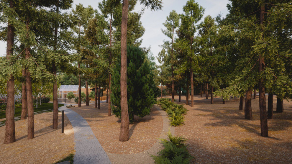 Завораживающий лес