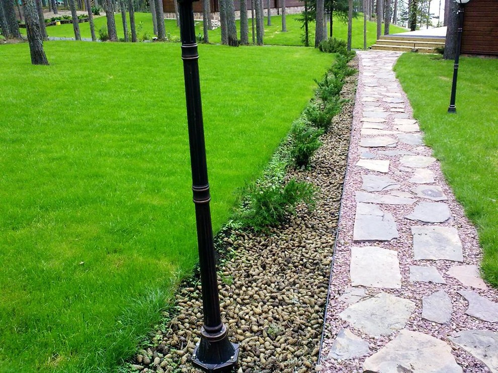 Мульчирование