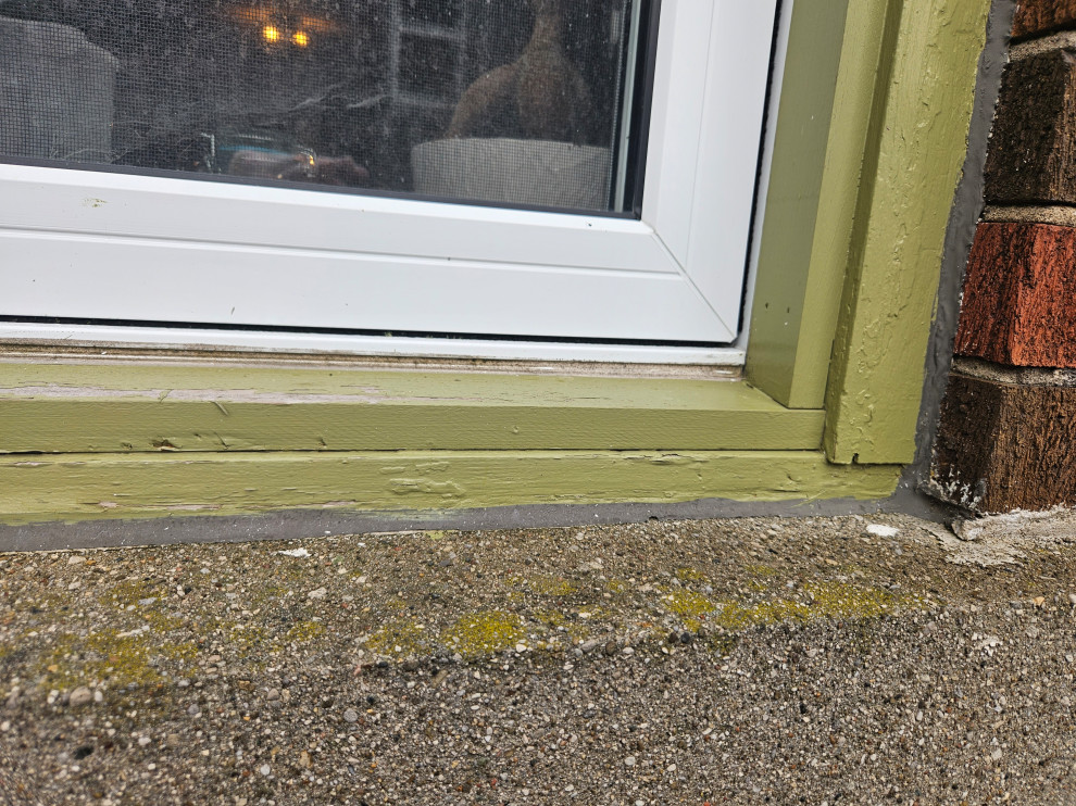 Window Trim Remediation
