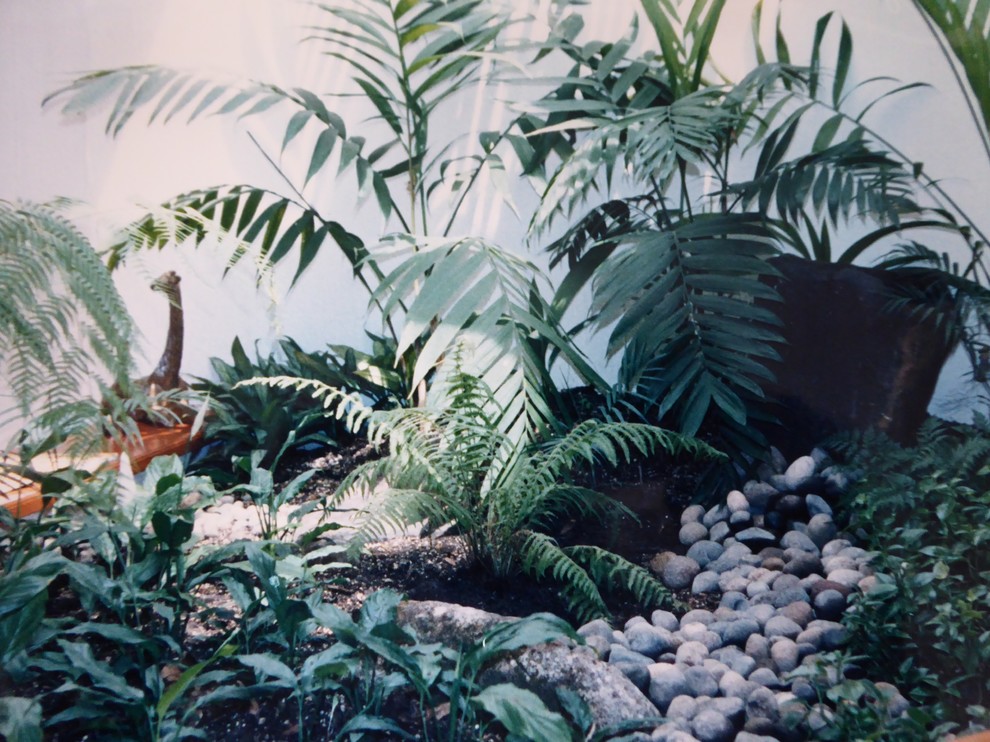 Indoor Pots & Planters
