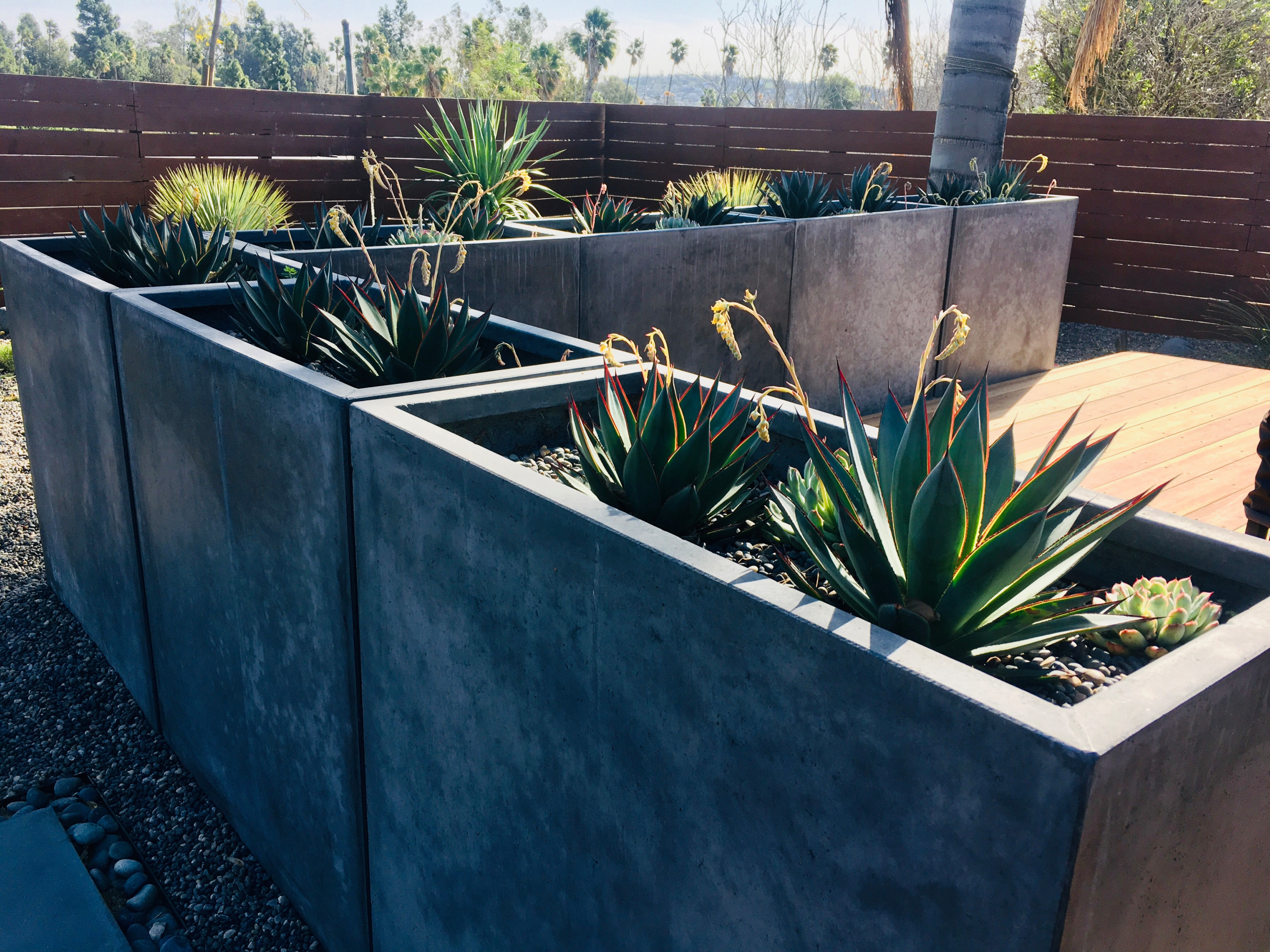 Low Maintenance Backyard Remodel