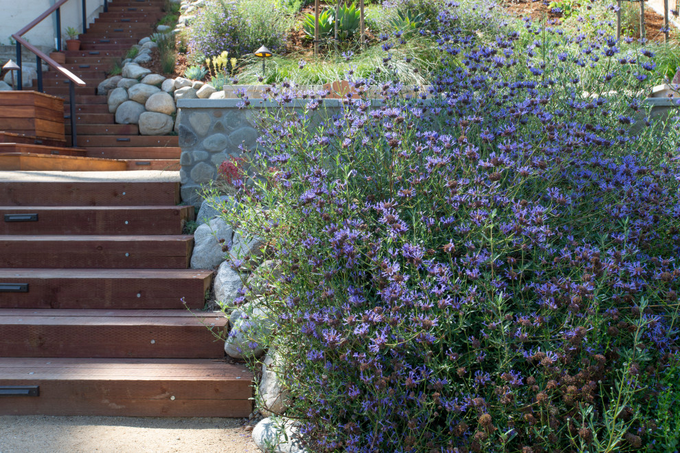 This is an example of a mid-sized eclectic drought-tolerant and full sun backyard landscaping in Los Angeles with decking.