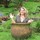 kathryn_bumbaugh