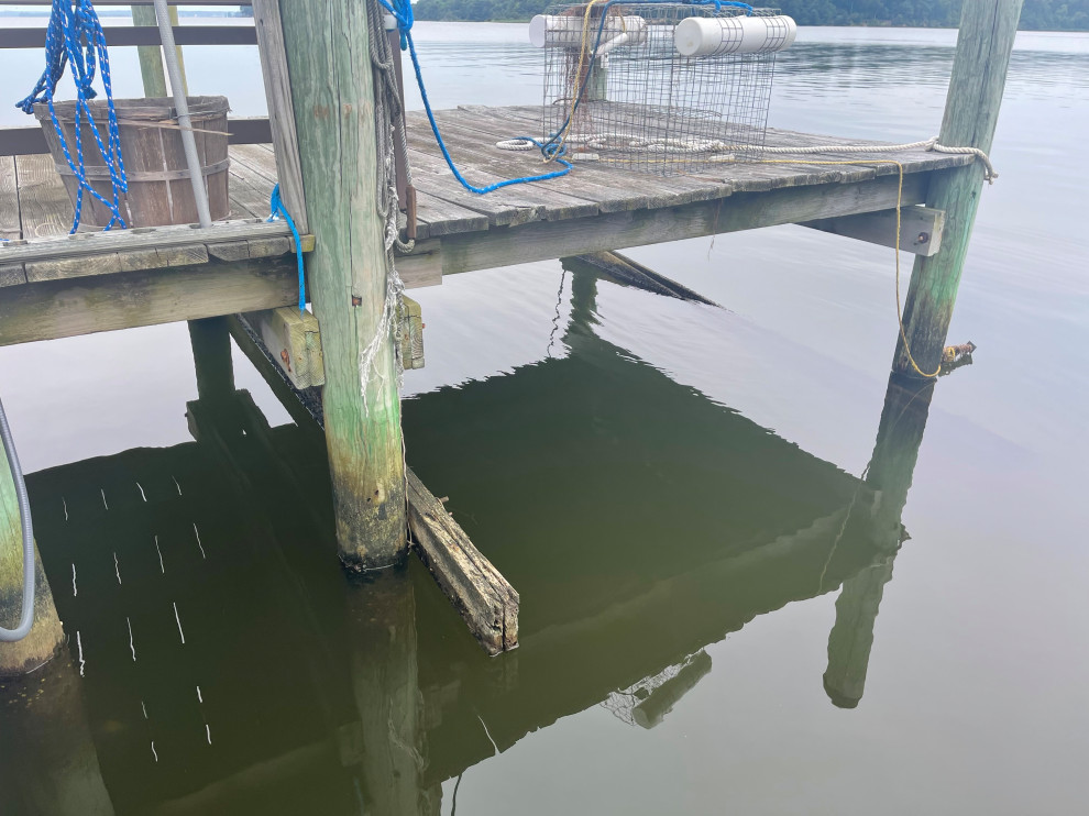 Dock Repair