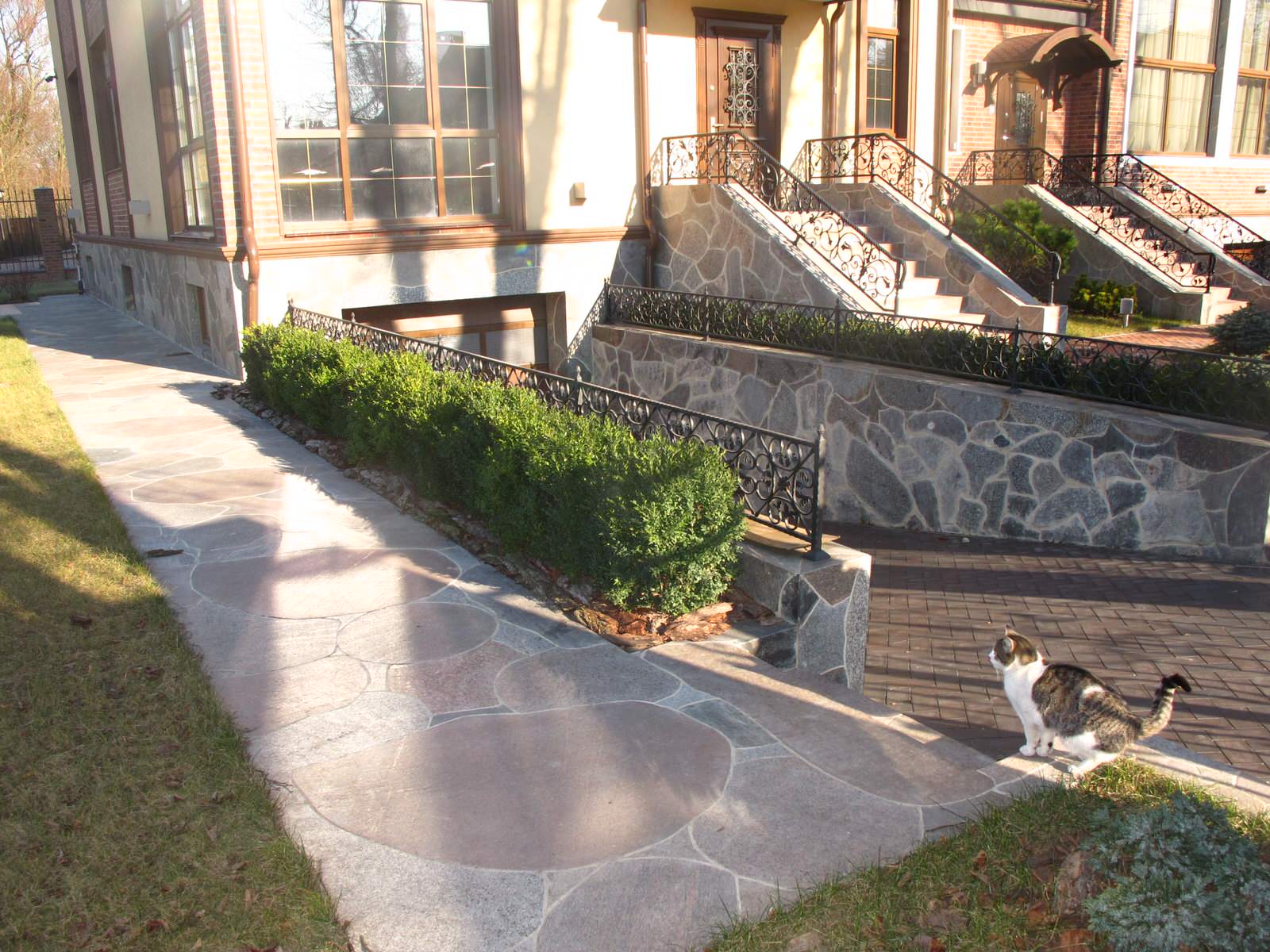 Выполненные работы