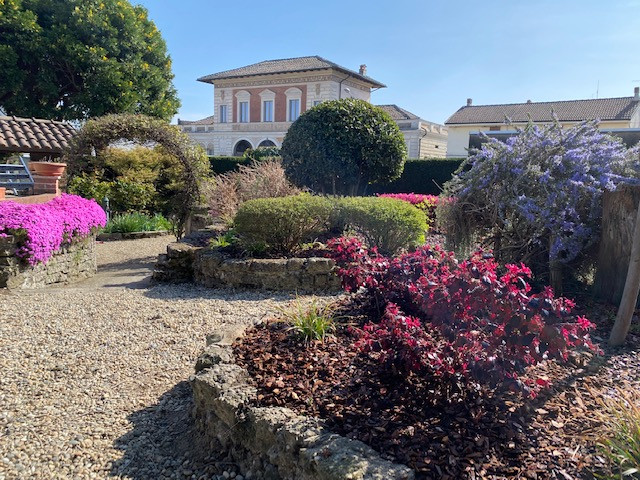 Un giardino roccioso