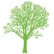 Alladins Landscape Design