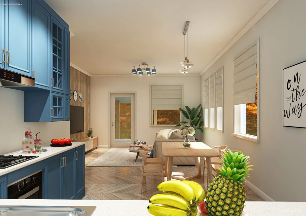 Кухня-гостиная