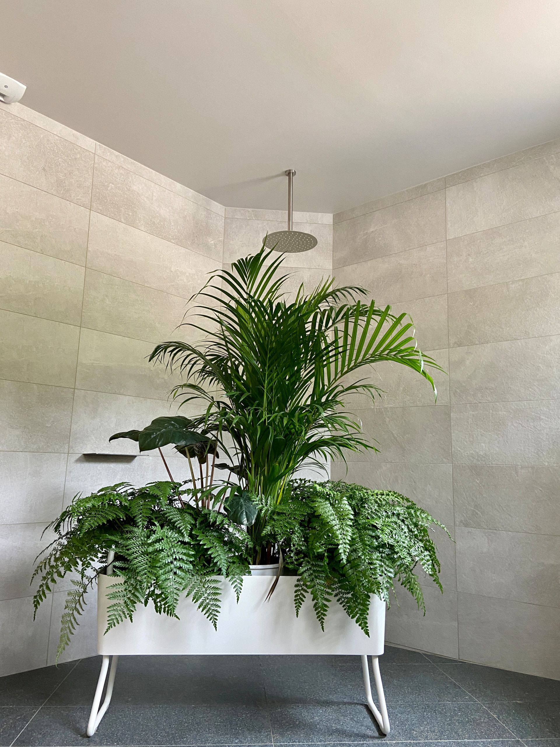 Paroi de douche végétal
