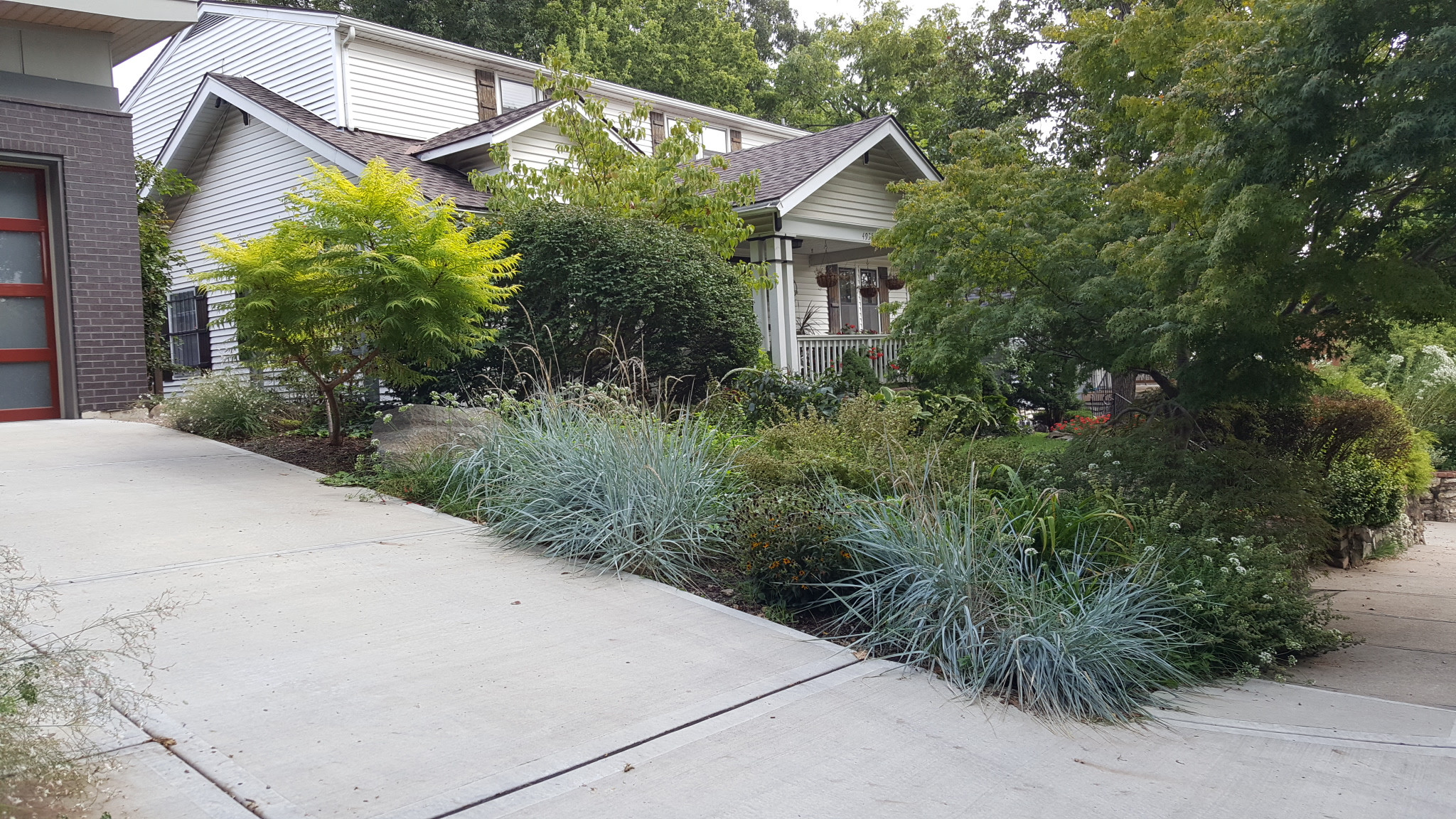 Westwood Contemporary Home Landscape