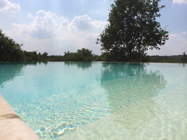 R&eacute;alisation 91 trendy-pool