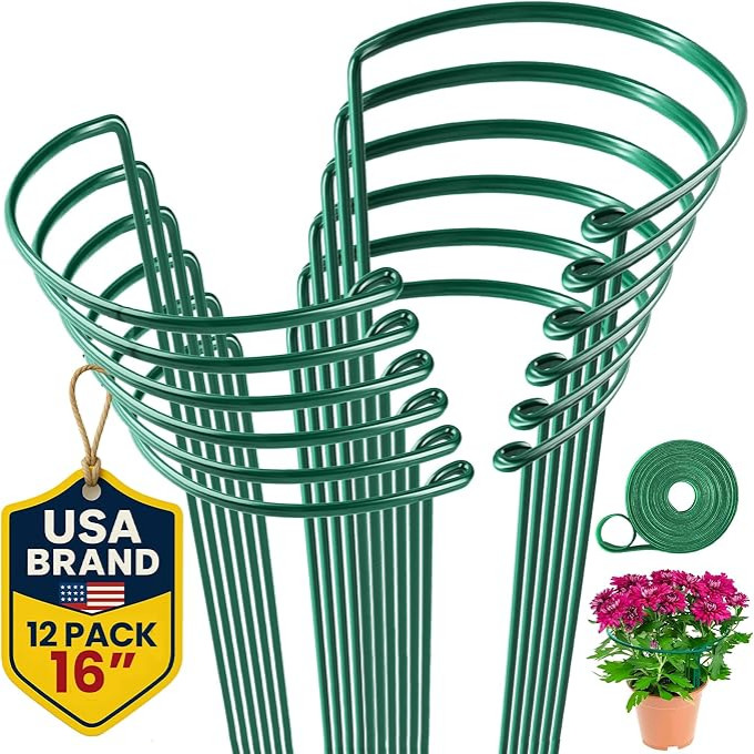 Plant Support Stakes