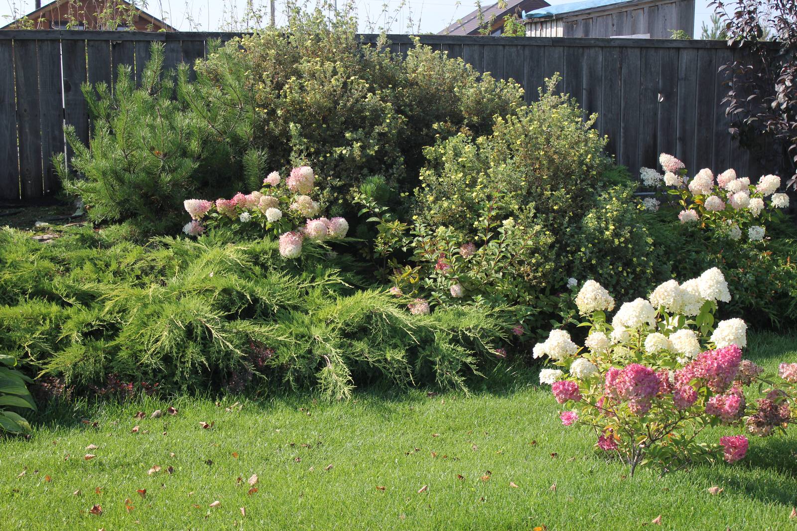 В гостях у Сказки