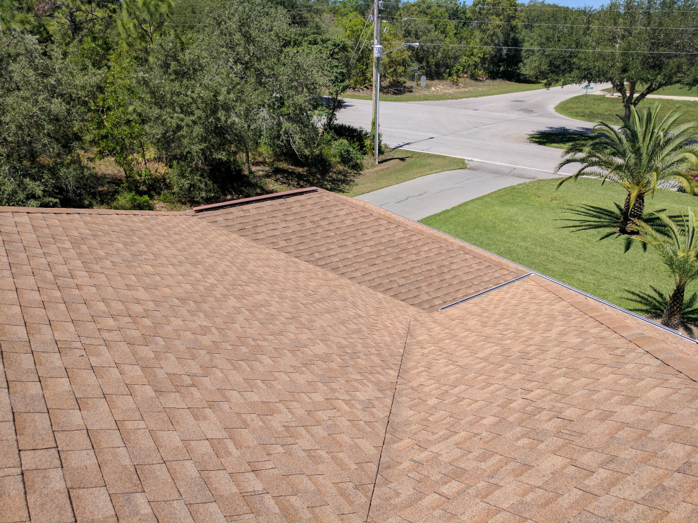 Shingle Roof