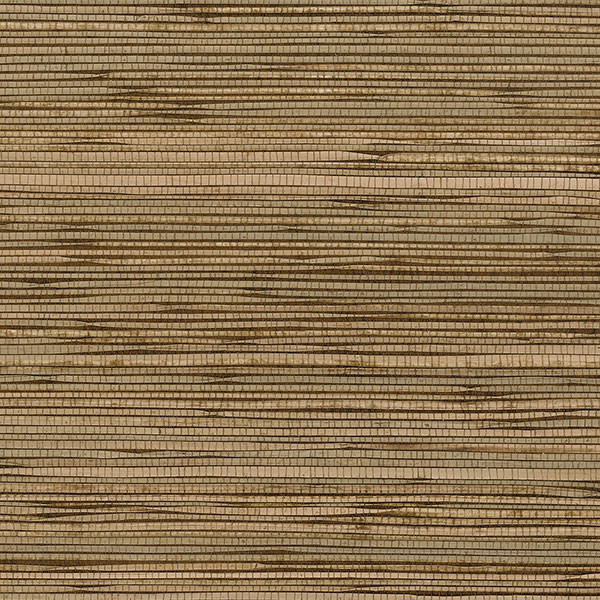 Dark Tan Natural Grasscloth Wallpaper - Transitional - Wallpaper - by