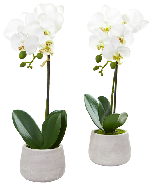 Phalaenopsis Orchid Artificial Arrangement, Set of 2